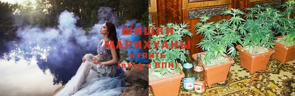 ГАЛЛЮЦИНОГЕННЫЕ ГРИБЫ Богородск