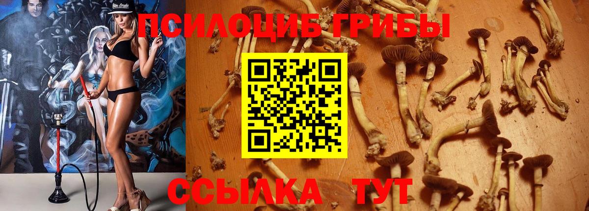 Меф МЯУ МЯУ   NBOMe  Лсд 25  Вход с VPN  Кузнецк  Cocaine  Бошки Шишки  Гашиш 